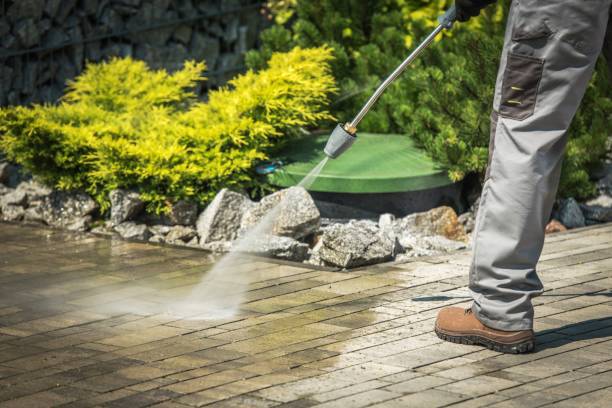 Best Roof Washing  in Manassas Park, VA