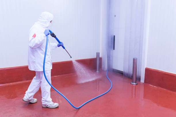 Best Oil Spill Cleanup  in Manassas Park, VA
