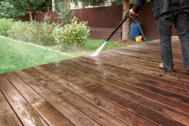 Best Animal Enclosure Cleaning  in Manassas Park, VA