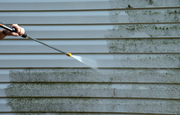 Best Rust Removal  in Manassas Park, VA