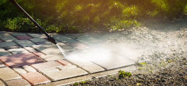 Best Solar Panel Cleaning  in Manassas Park, VA